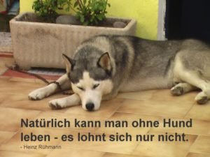 Danke