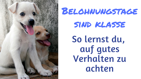 Belohnungstag