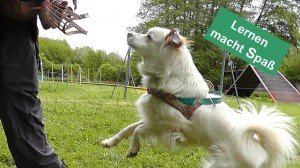 Lernen macht Spaß