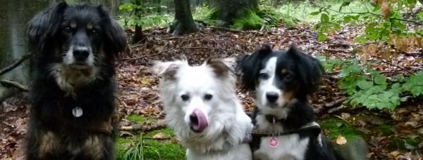 Tipp der Woche