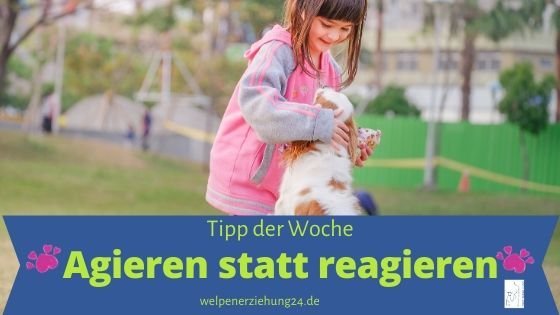 Agieren statt Reagieren