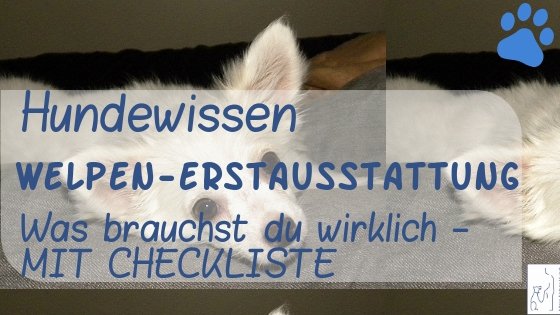 welpen-erstausstattung