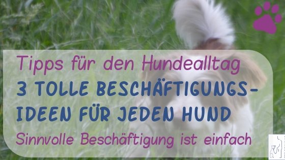 Beschäftigungstipps