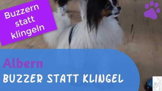 Buzzern statt klingeln