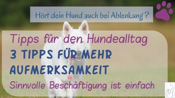 3 Tipps für Aufmerksamkeit
