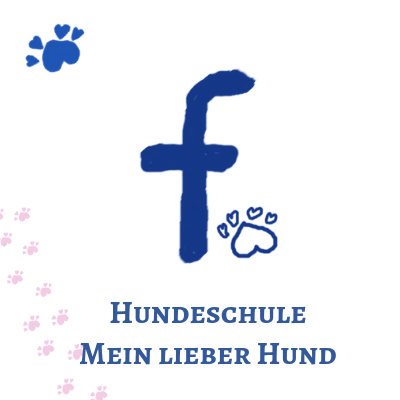 Facebook Fanpage Hundeschule Mein lieber Hund