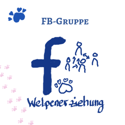 Facebook Gruppe Welpenerziehung
