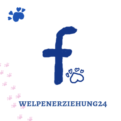 Facebook Fanpage Welpenerziehung