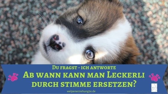 Stimme und Schmusen statt Leckerli?